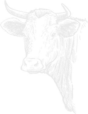 rysunek przedstawiający krowę